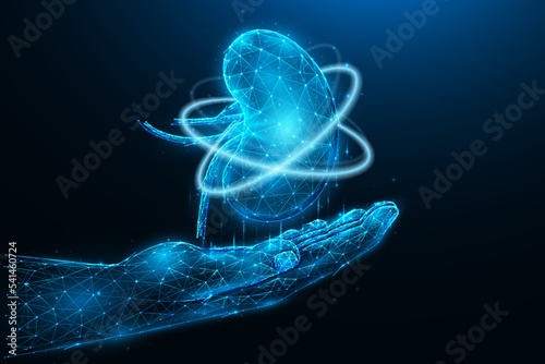 Polygonal vector illustration of a hand with a human kidney. Kidney recovery. Organ donation concept. Medical banner, template or background.