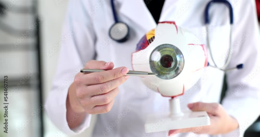 Doctor ophthalmologist showing anatomical structure of eye on model closeup 4k movie slow motion Doctor ophthalmologist showing anatomical structure of eye on model closeup 4k movie slow motion