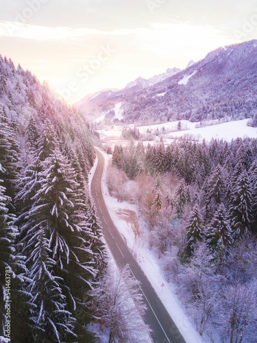 Vertical shot of a trail through snowy pine trees and mountains in Triglav National Park, Slovenia photo