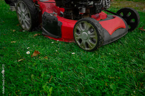 lawn mower  grass  equipment  mow  gardener  care  work  tool 