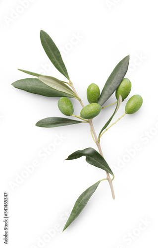 Konstfotografi fresh olive twig with several green olives on it, typical for mediterranean coun