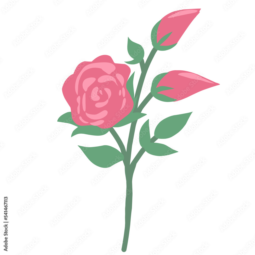 aesthetic rose vector