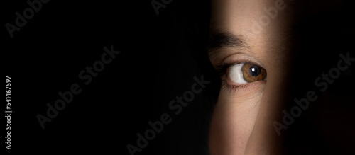 Billede på lærred eye of the person spying