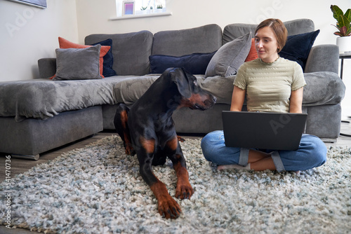 Working at Home with pet