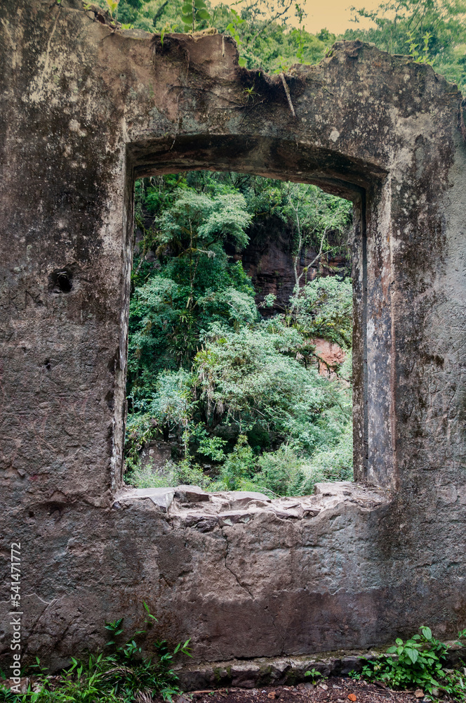 old window in the forest