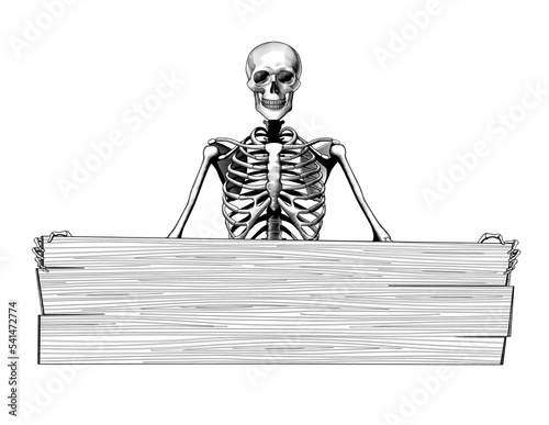 Human skeleton full length and full face with a long wood board banner isolated on white. Horror and anatomy retro concept. Vintage engraving stylized drawing