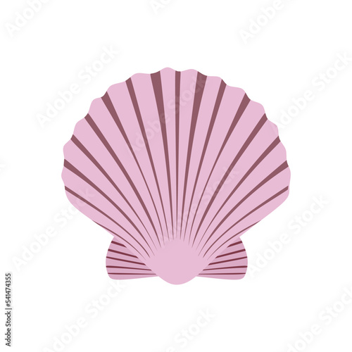 Scallop Seashell Vector. Ocean Mollusk Sea Shell on white background. sea shel minimal illustration. flat vector eps10