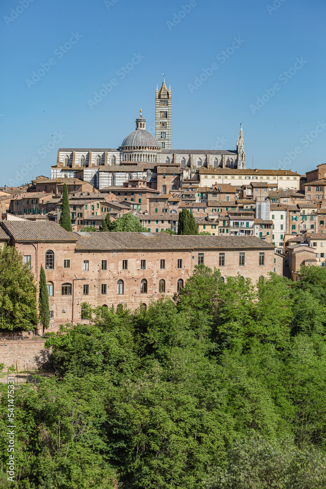 Panoramic view of Siena, the Dome and Bell Tower of Siena Cathedral (Duomo di Siena), ancient houses.
