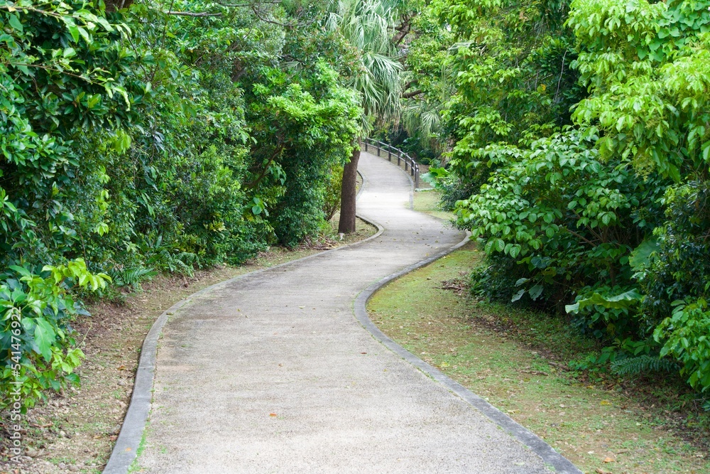 Winding walkway in the Miyakojima Botanical Garden.