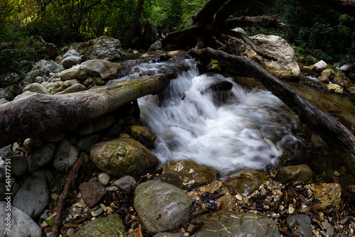 Tusciano river forest scenery in cilento photo