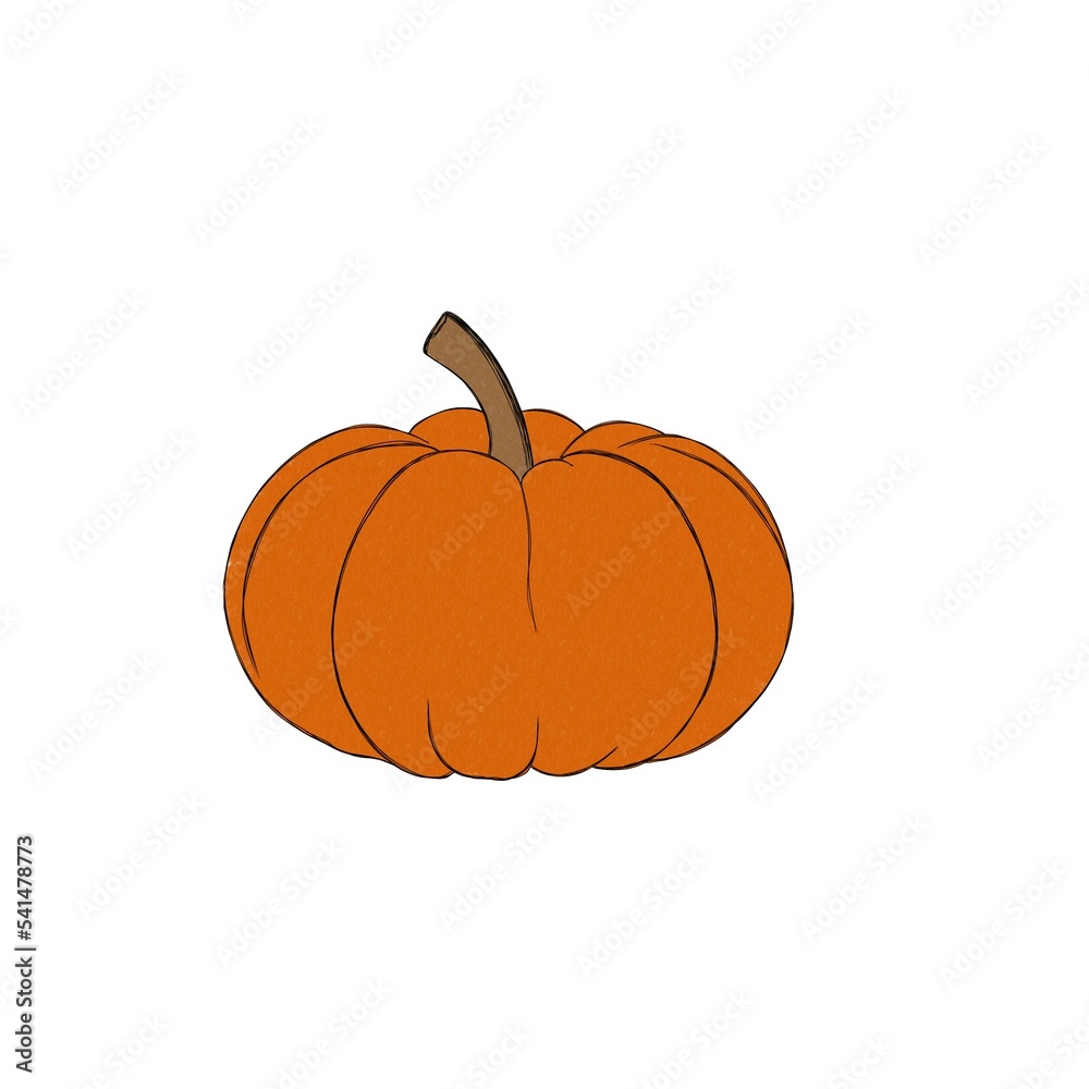 Pumpkin watercolor drawing free hand. Pumpkin for Thanksgiving. Bright pumpkin for Halloween