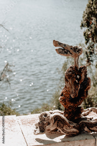 tree root resembling a bird on a concrete edge. blue water in the distance.