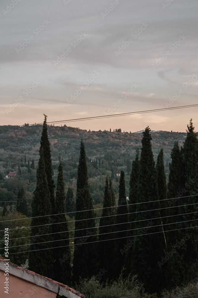 Corfu, Greece. A view of the mountain in the distance. silhouette of fir trees and electric wires in the foreground