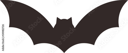 This is Halloween bat