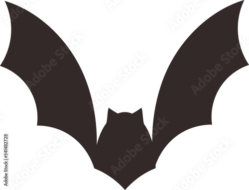 This is Halloween bat