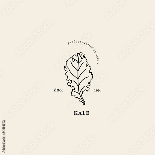 Line art kale branch illustration