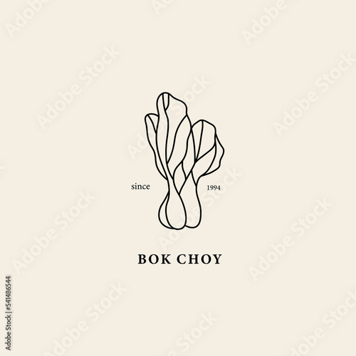 Line art bok choy illustration