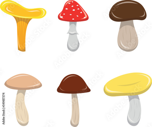 Vector set of mushrooms isolated on white background