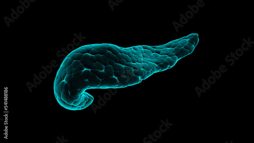 3d illustration of human pancreas realistic x-ray simulation isolated on black photo