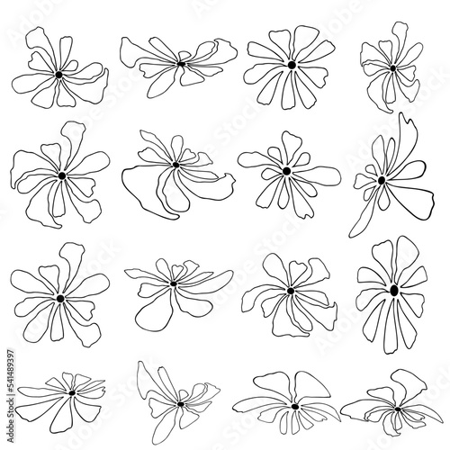 Set of abstract flowers in Scandinavian style. Hand drawing, contour work © Lesia