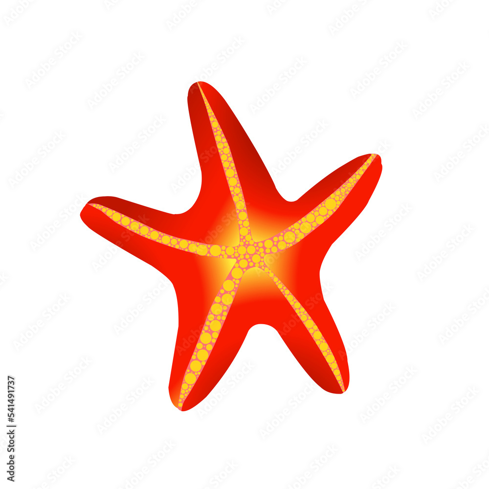 red starfish isolated on white red starfish isolated on white
