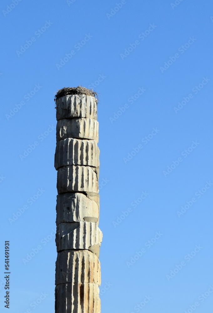 The place where the famous temple of Artemis in Ephesus was located