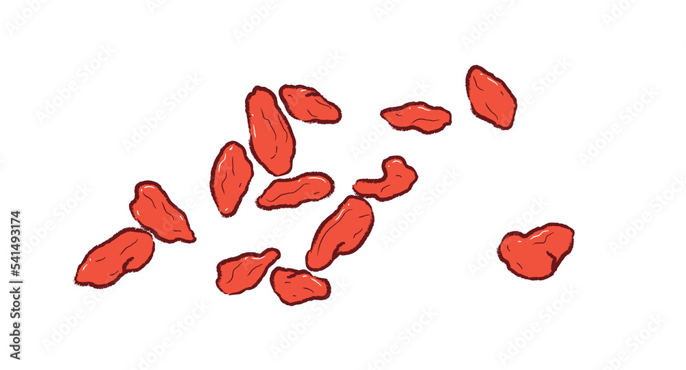 Group of dry Lycium in flat illustration Group of dry Lycium in flat illustration