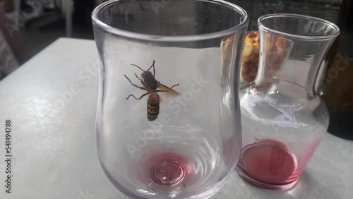 une guêpe dans un verre de vin vide sur la table d'un restaurant