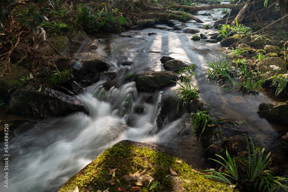 Fototapeta premium Small waterfall in rain forest rock and river ecology and beautiful nature, Environment and travel concept landscape