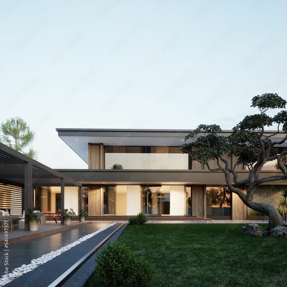 Fototapeta premium 3D Modern House Design