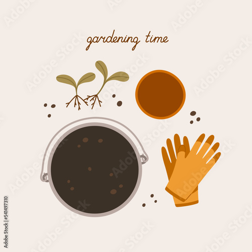 Metal bucket, flower pot, garden gloves, seedlings, and hand lettering. Concept of gardening, tools for growing plants, houseplants, compost.