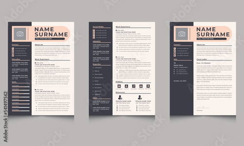 Professional CV Layout Application Resume Template Dark Sidebar