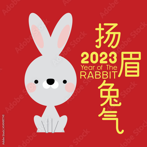 Happy Chinese new year 2023, the year of the rabbit zodiac. Little bunny greeting card, poster, banner, brochure, calendar. Translation text "Good luck in the year of the rabbit". Vector illustration.