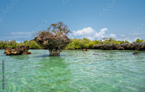 blue tropical lagune on Zanzibar