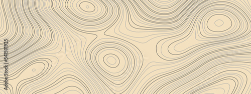 The stylized modern colorful abstract topographic map with lines and circles background. Topographic map and place for texture. Topographic gradient linear background with copy space. 