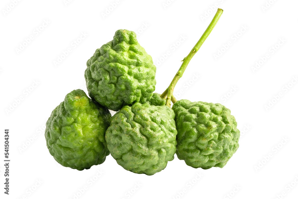 Fresh bergamot or kaffir lime isolate on white background with clipping path, vegetable herb for cook and health. Fresh bergamot or kaffir lime isolate on white background with clipping path, vegetable herb for cook and health.