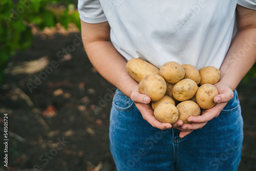 A woman hands holding homes potatoes in her hands. Healthy organic food, vegetables, agriculture, close up.