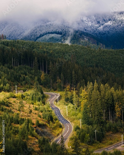 Vertical shot of a road between forests © Marius Mera/Wirestock Creators