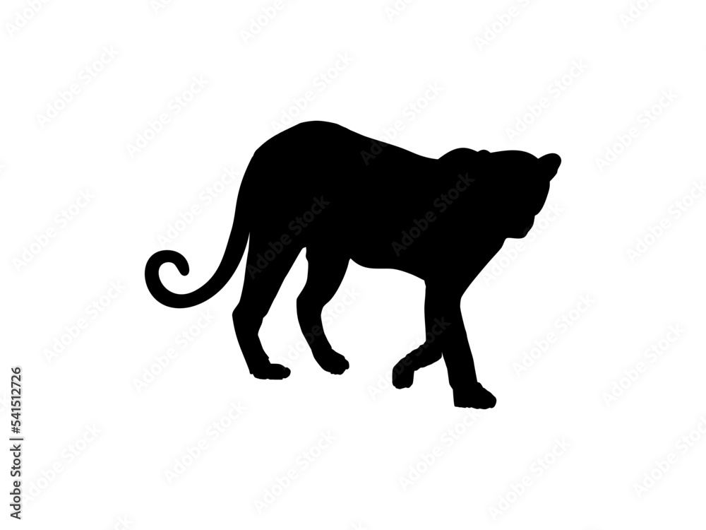 Walking (Standing) Tiger, Leopard, Cheetah, Black Panther, Jaguar, (Big Cat Family) Silhouette for Logo or Graphic Design Element. Vector Illustration