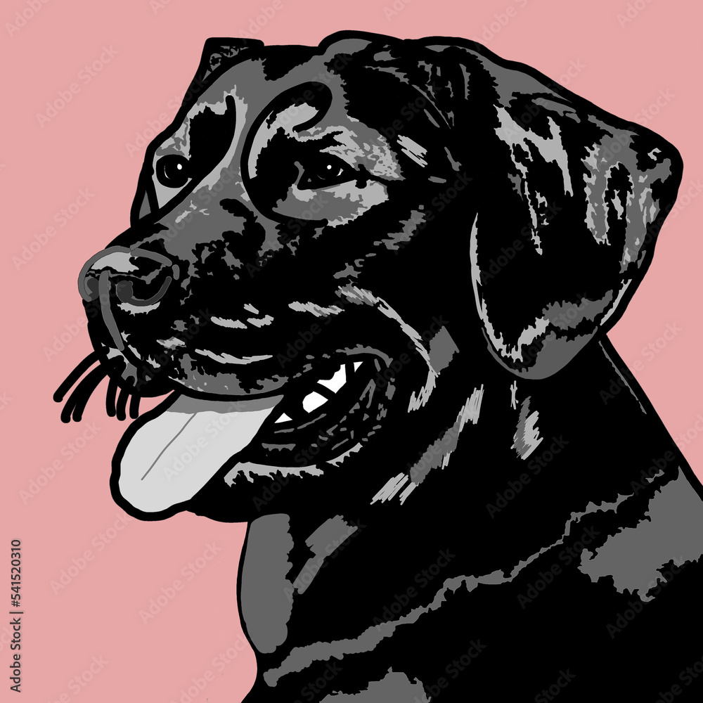 black and white dog Stock Illustration | Adobe Stock