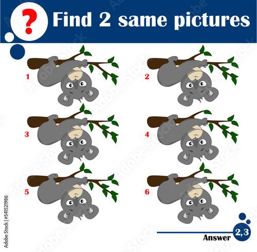 Children educational game. Find two same pictures of cute koala