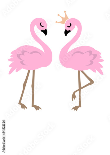 Pink Flamingo couple. Valentine's day print, Isolated on transparent background.	