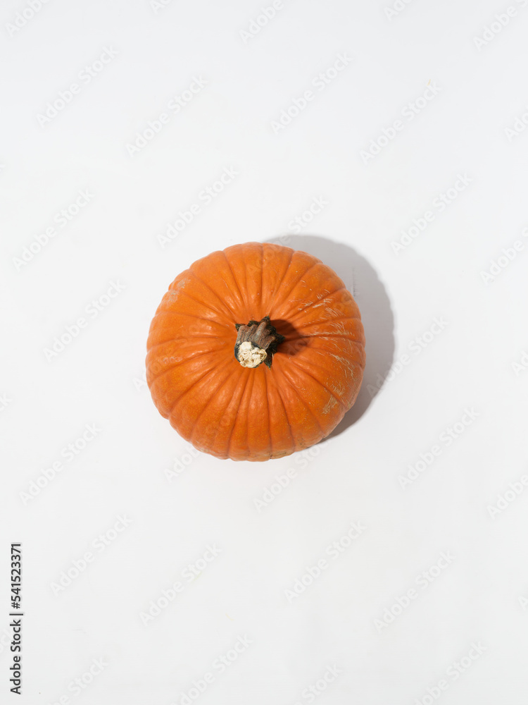 Obraz premium Fall Pumpkins on White Background