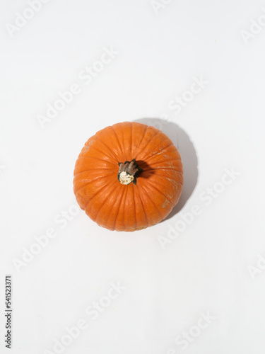 Fall Pumpkins on White Background