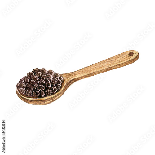watercolor drawing wooden spoon with black pepper seeds, hand drawn illustration