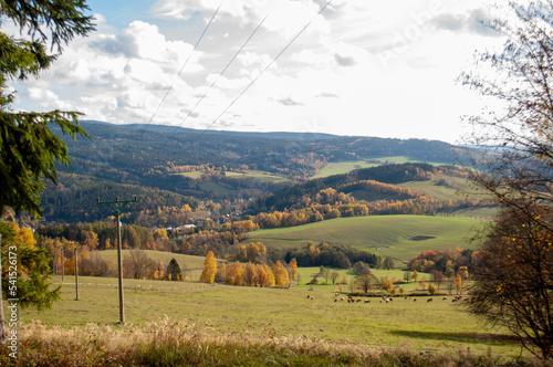 beautiful autumn landscape. view from the mountain to the green fields  trees. tranquility and nature