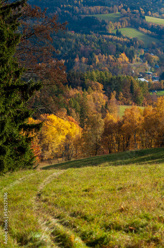 beautiful autumn landscape. view from the mountain to the green fields, trees. tranquility and nature