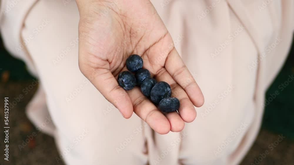 overhead view of women eating blue berry overhead view of women eating blue berry
