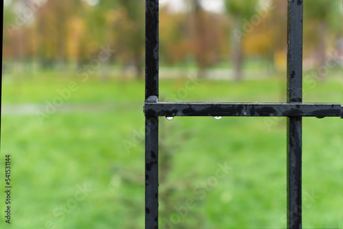Large metal grating against the background of an autumn park