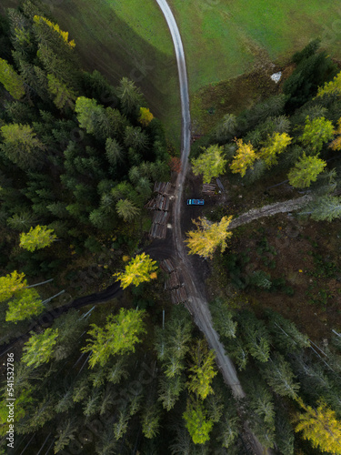 Parkplatz im herbstlichen Nadelwald